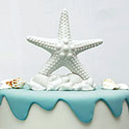 Beach theme wedding starfish cake topper.