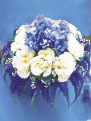 Stunning Blue Flowers surronded by white posies