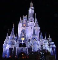 Cinderella wedding ideas of Cinderella's castle in DisneyWorld
