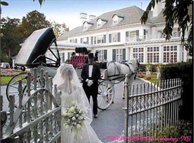 Cinderella theme wedding with a horse and carriage