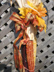 Decorations of ears of corn as fall wedding ideas