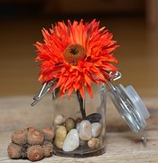 Ideas for inexpensive centerpieces single flower in a glass with rocks