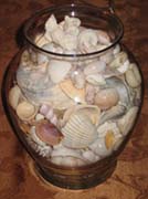 Inexpensive wedding centerpieces bowl with seashells