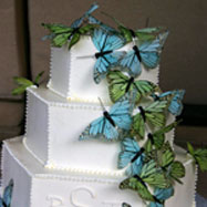 List of wedding themes in NJ wedding cake with butterflies