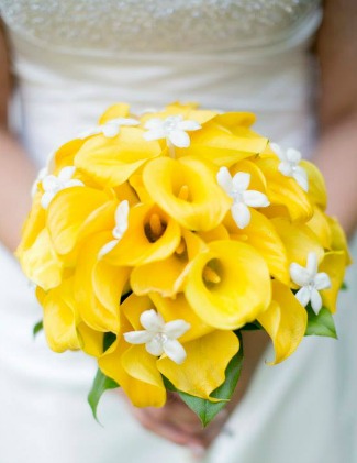 Yellow calla lilies with white stephanotis