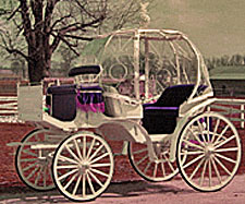 Cinderella theme wedding carriage