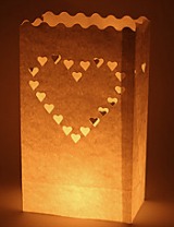 Halloween wedding ideas luminary bags