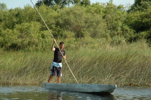 Honeymoon Island Water Activities