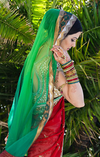 Indian Wedding Dresses Red Sari Picture
