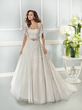 Wedding Dresses With Sleeves Picture