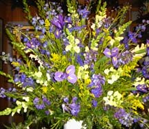 Blue Flowers with yellow posies