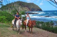 Horseback back riding while on Vacation in Hawaii