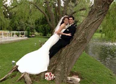 Wedding photo ideas in a tree