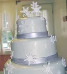 Winter Wedding Ideas