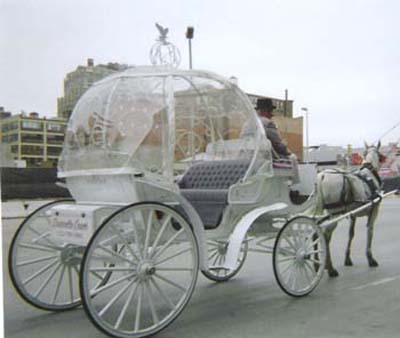 Cinderella Wedding Ideas of a horse and carriage