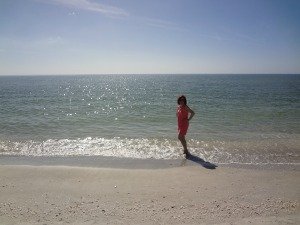 Enjoy the pristine beaches of Honeymoon Island